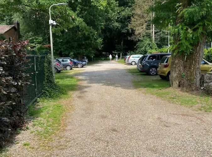 Ruim Privacyvol Met Overdekt Terras Chalet