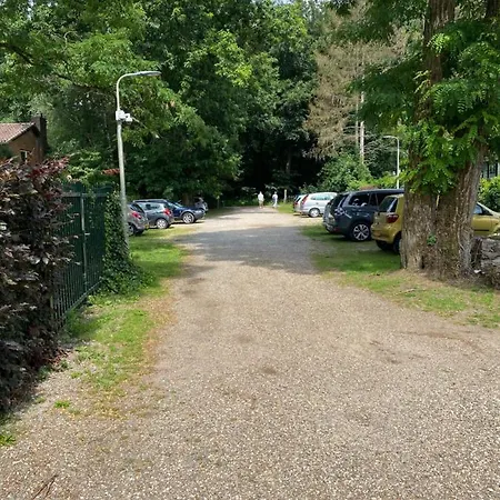 Ruim Privacyvol Met Overdekt Terras Chalet