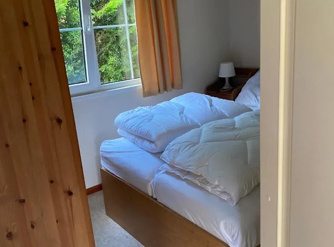 Ruim Privacyvol Met Overdekt Terras *